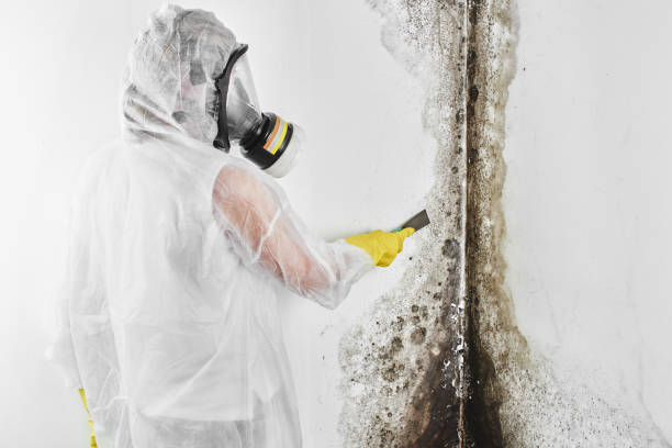 Water Damage Restoration in Greenville, MS